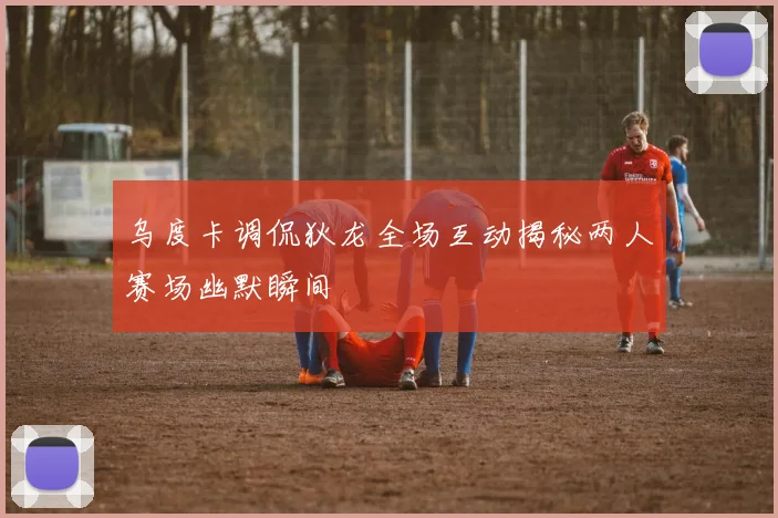 乌度卡调侃狄龙全场互动揭秘两人赛场幽默瞬间