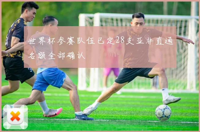 世界杯参赛队伍已定28支亚非直通名额全部确认