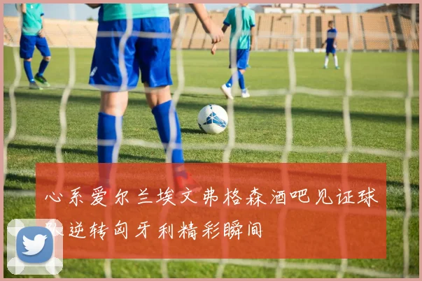 心系爱尔兰埃文弗格森酒吧见证球队逆转匈牙利精彩瞬间