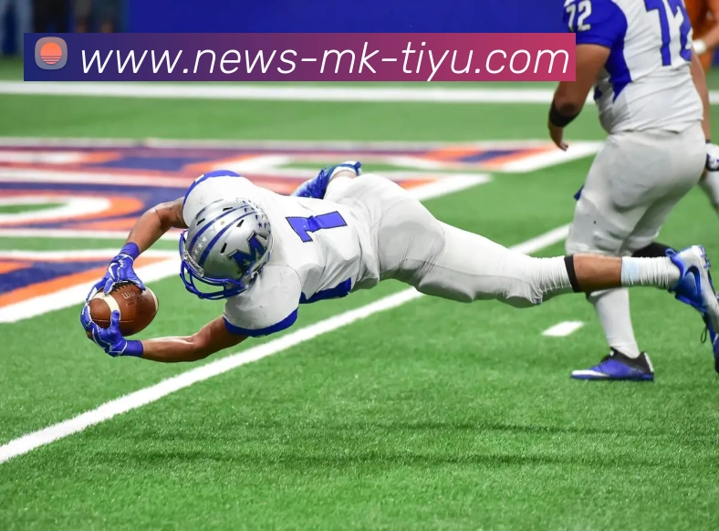 MK体育APP 封面图